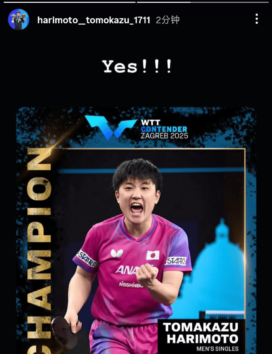 奥地利队轻取波兰队,张本智和关键制胜 奥地利队轻取波兰队,张本智和关键制胜